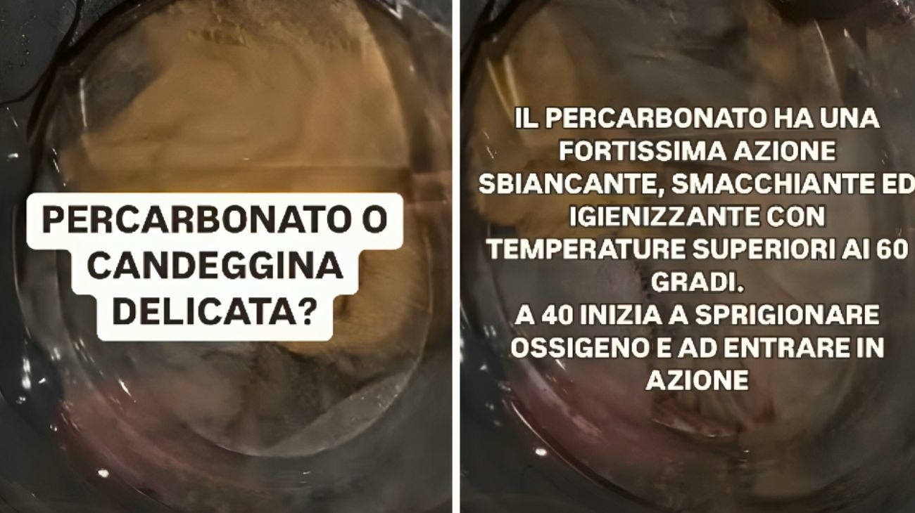 Lavatrice percarbonato candeggina