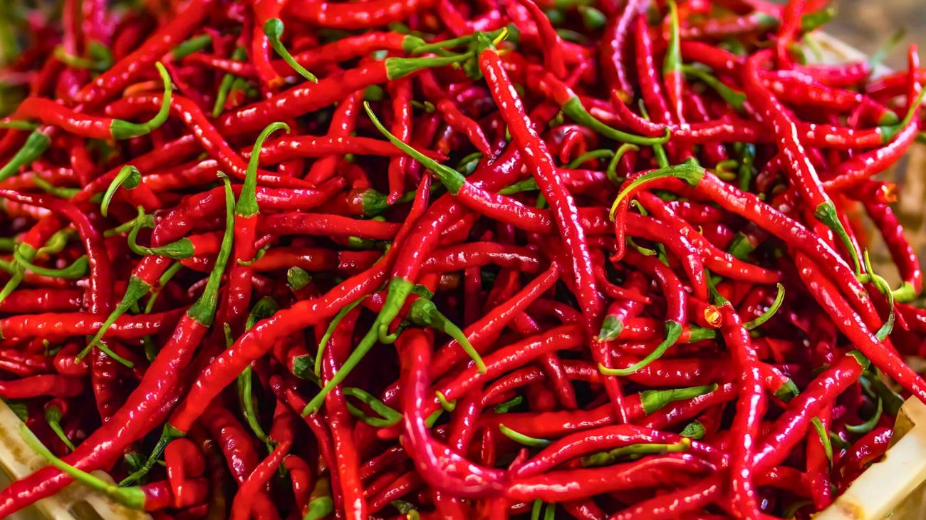 Peperoncino salute